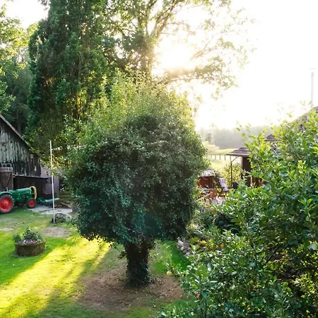 Rodewald *
